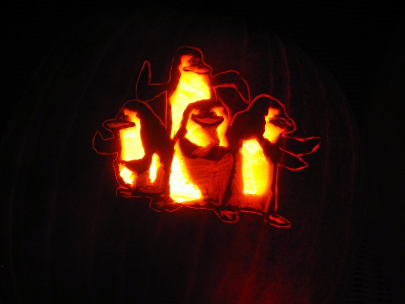 2005penguins.jpg